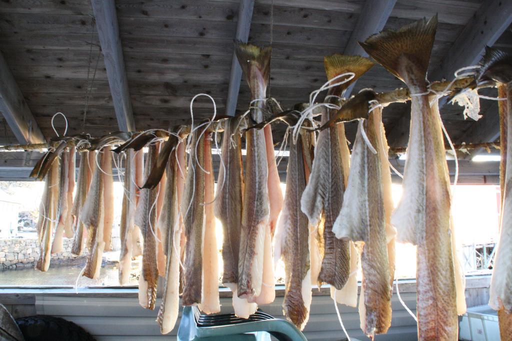Holmvik Brygge Nyksund Ξενοδοχείο Εξωτερικό φωτογραφία