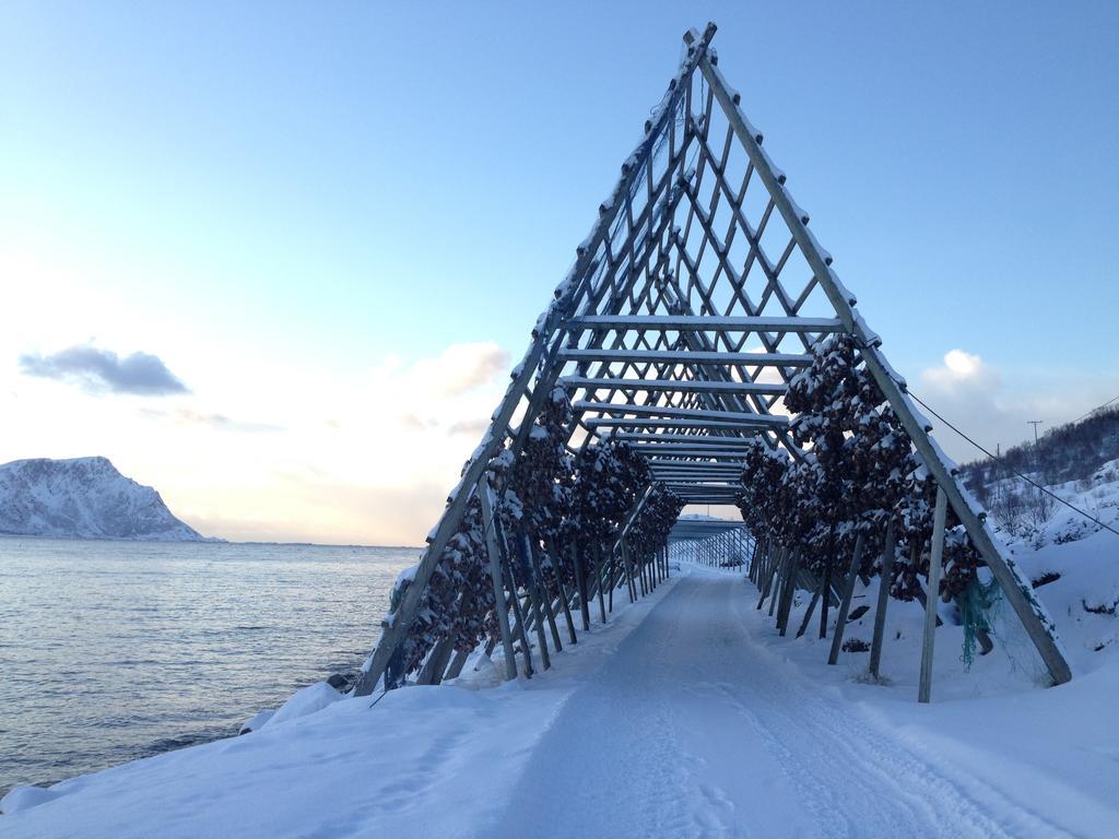 Holmvik Brygge Nyksund Ξενοδοχείο Εξωτερικό φωτογραφία